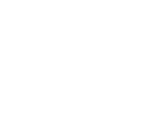 Fundacija Dorce Sardoc